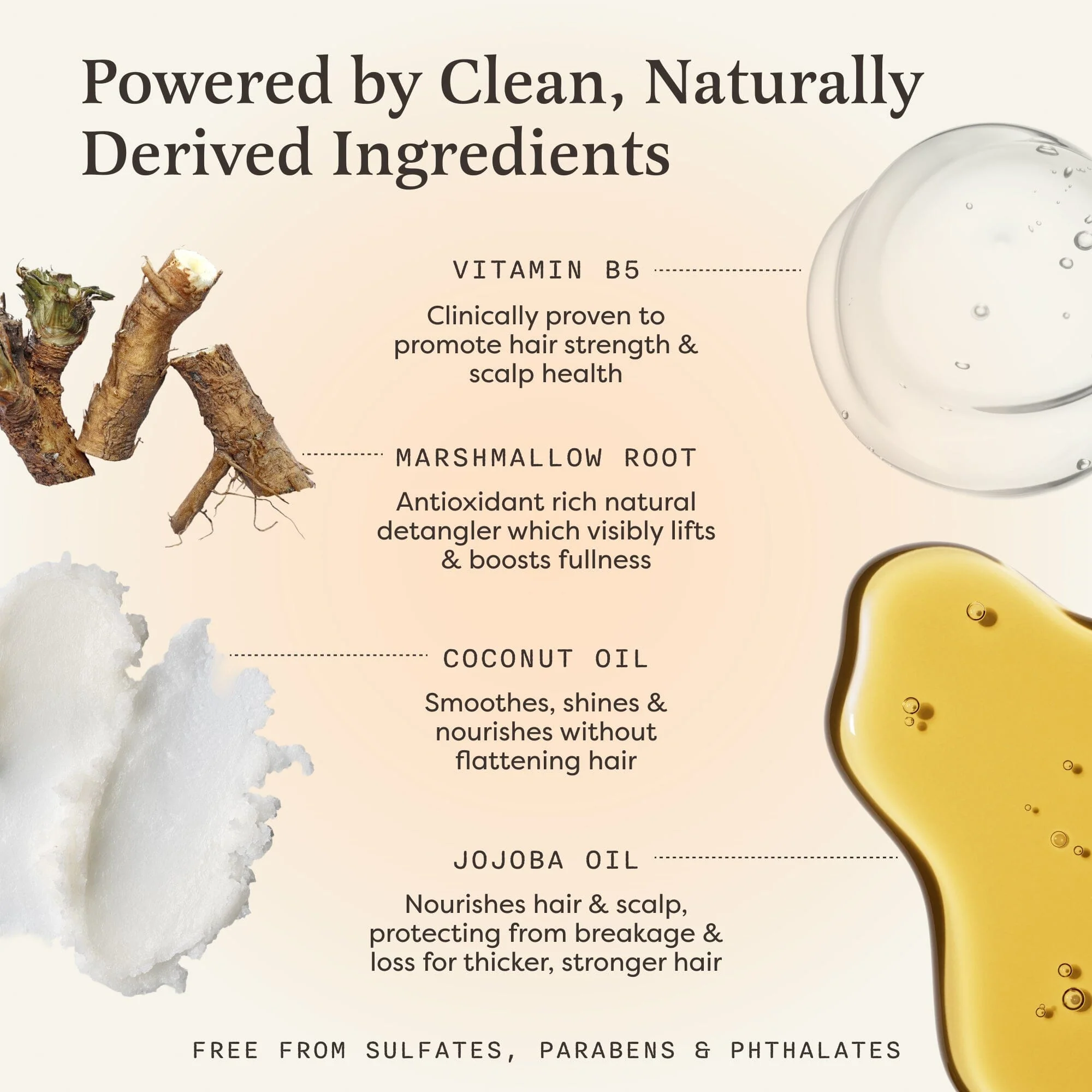 Shampoo Bar for Thickness & Volume - Image 3