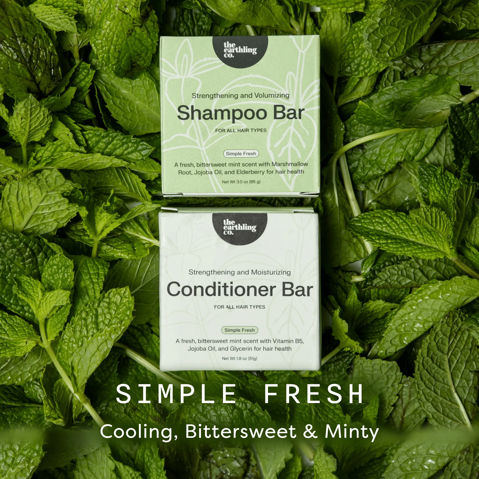 Shampoo and Conditioner for Thickness & Volume + Includes Free Soap Dish - Image 16