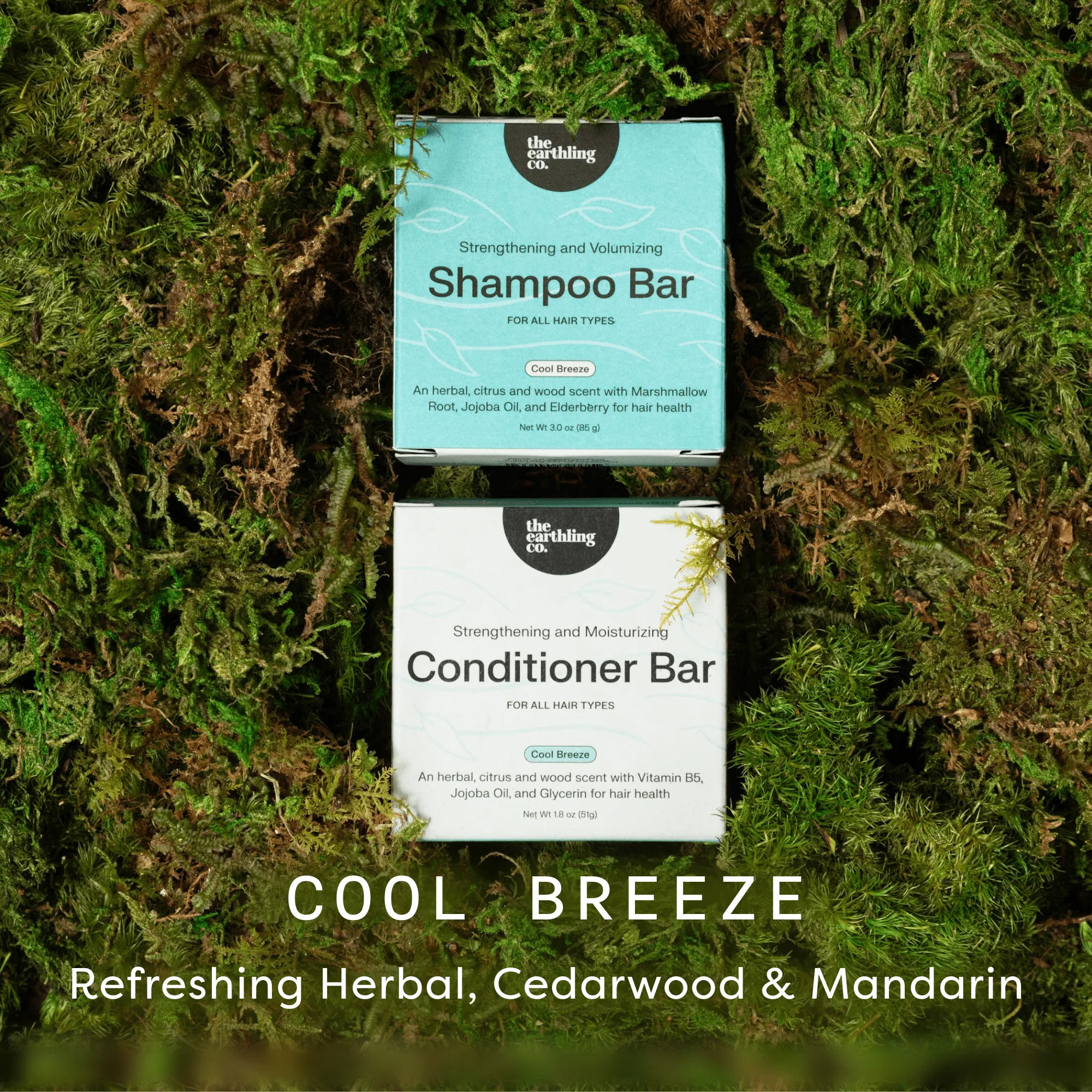 Shampoo and Conditioner for Thickness & Volume + Includes Free Soap Dish - Image 17
